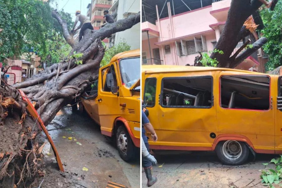মুম্বইয়ে স্কুলবাসের উপর ভেঙে পড়ল বিশাল গাছ, মৃত্যু ১১ বছরের পড়ুয়ার, আহত আরও ৪
